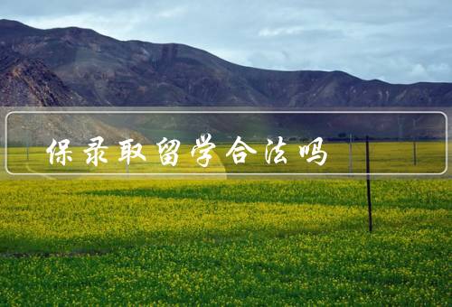 保录取留学合法吗，定义、合法性、优势和劣势
