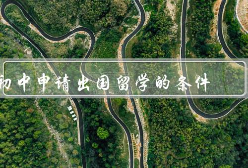 初中申请出国留学的条件（语言能力、学业成绩、综合素质）