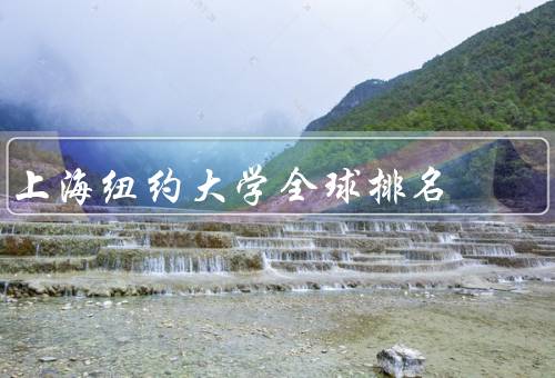 上海纽约大学全球排名，学术声誉／国际化程度／就业竞争力