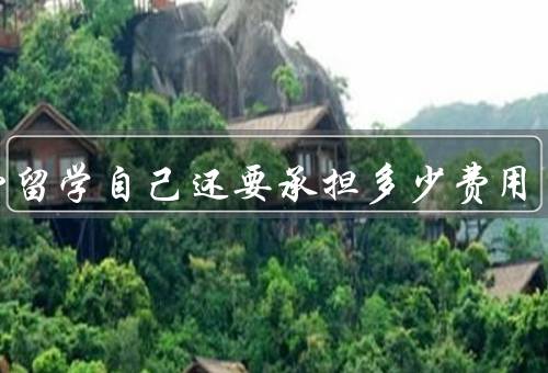 公费留学自己还要承担多少费用（公费留学的基本费用／额外费用）