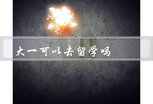 大一可以去留学吗，大一可以去留学吗／去留学的利与弊／如何决策