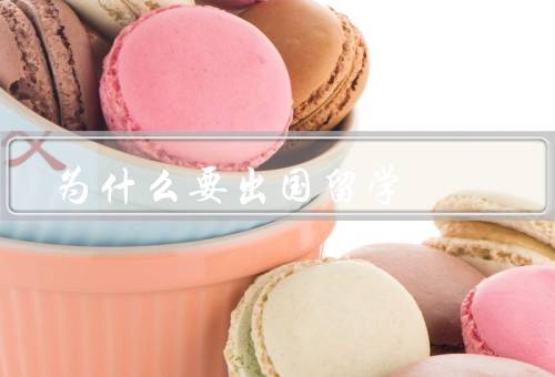 为什么要出国留学，培养国际视野／提升语言能力／拓展人脉关系