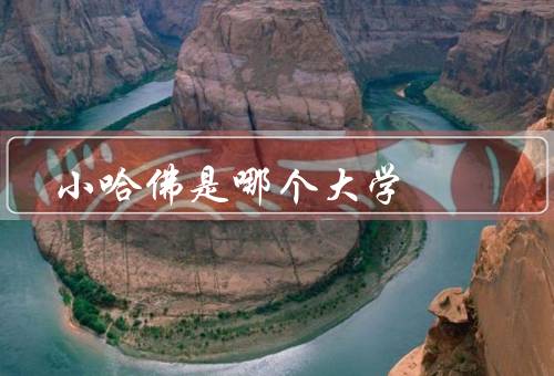 小哈佛是哪个大学，学术声誉、学科特色、师资力量