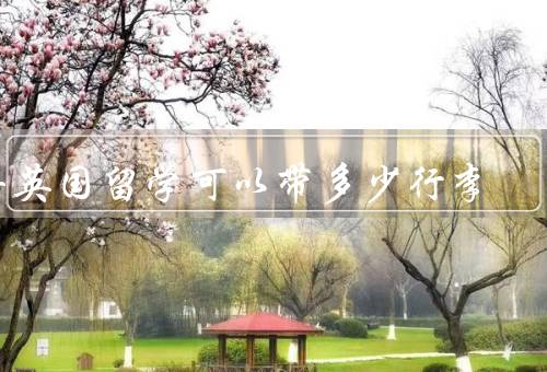 去英国留学可以带多少行李，限制／选择／准备