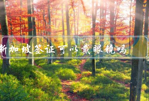新加坡签证照片可以戴眼镜吗（照片要求、佩戴眼镜的影响）
