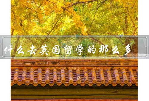 为什么去英国留学的那么多，英国的教育优势／文化交流／就业机会