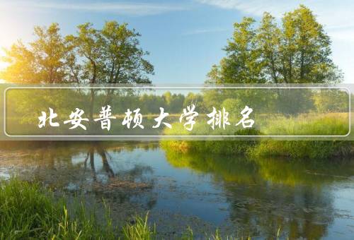 北安普顿大学排名，教学质量、研究实力、国际化程度