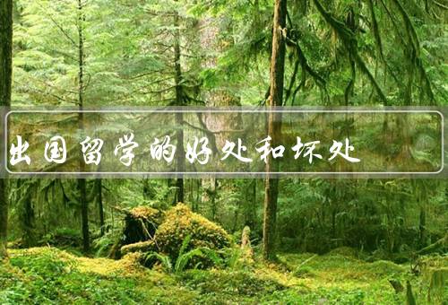 出国留学的好处和坏处（拓宽眼界／提升学术水平／增加就业机会）