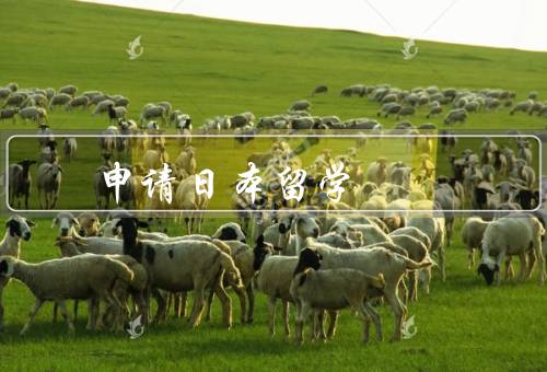 专科申请日本留学（专科留学的优势、申请流程、留学生活）