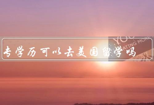 中专学历可以去美国留学吗，留学背景、语言能力、其他因素