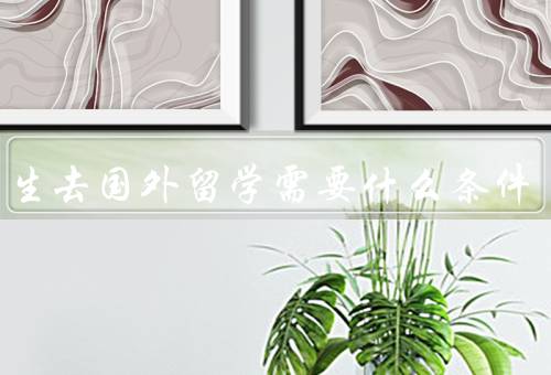 大学生去国外留学需要什么条件，语言能力、学术水平、个人素质