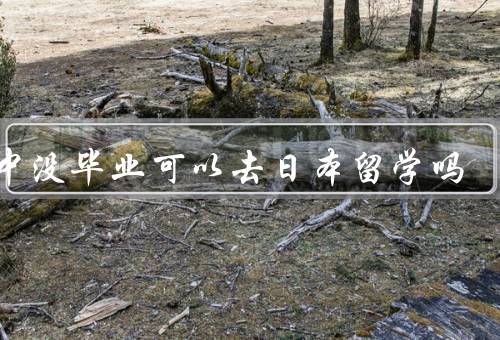 初中没毕业可以去日本留学吗（国家政策、学校要求、语言障碍）
