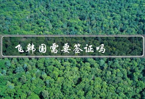 香港飞韩国需要签证吗（政策／申请／费用与办理时间）