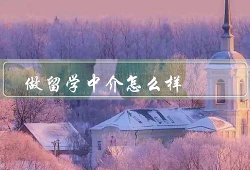 做留学中介怎么样（留学需求的增长、专业知识和经验的重要性）