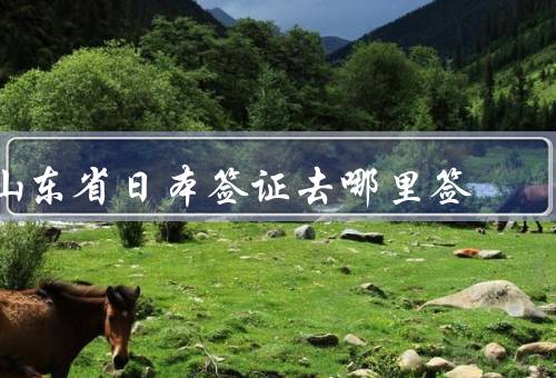 山东省日本签证去哪里签（山东省日本签证申请流程）