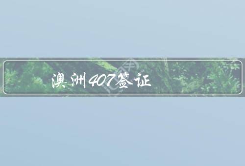 澳洲407签证，条件／流程／签证持有者的权益