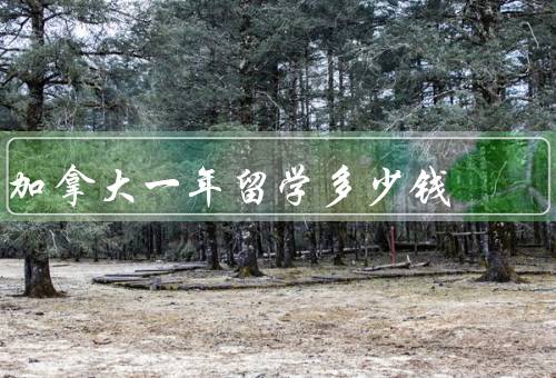 加拿大一年留学多少钱，学费／生活费／其他费用