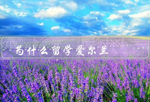 为什么留学爱尔兰（高质量的教育体系／英语语境的学习环境）