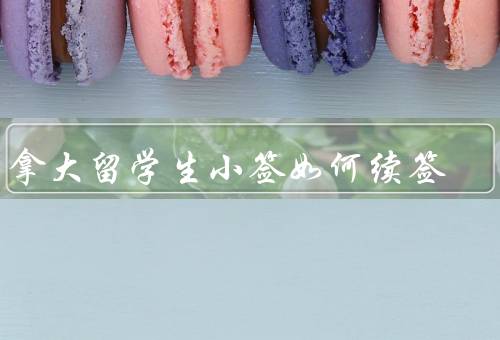 加拿大留学生小签如何续签，前准备、申请、等待结果