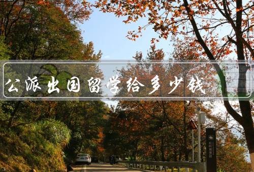 国家公派出国留学国家给多少钱（留学基金、奖学金、其他补助）