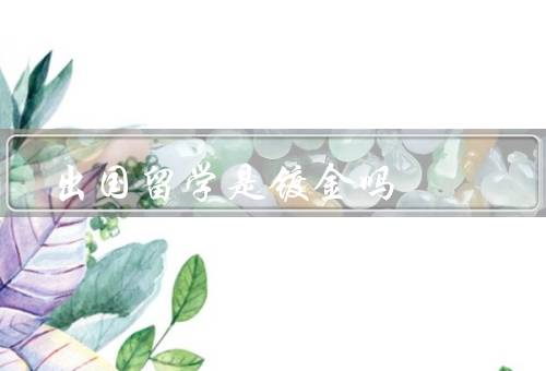 出国留学是镀金吗（优势、劣势、价值取决于个人）