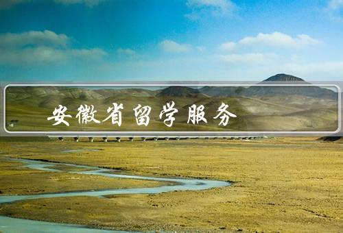安徽省留学服务中心（招生管理、生活服务、教育培训）