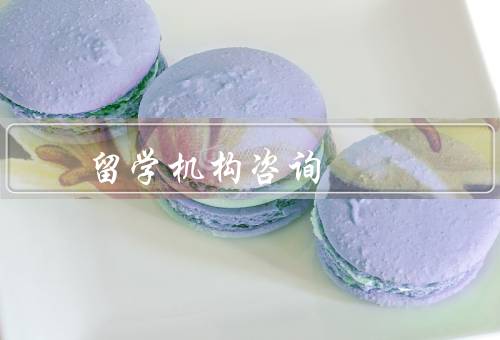 乌鲁木齐留学机构咨询，重要性／服务内容／如何选择