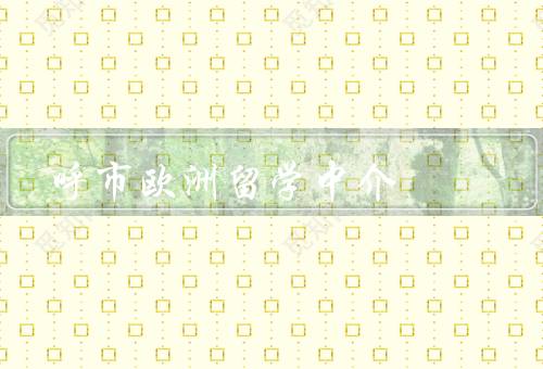呼市欧洲留学中介（服务全面、经验丰富、个性化定制）