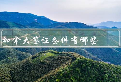加拿大签证条件有哪些，签证申请条件／资金要求／其他申请条件