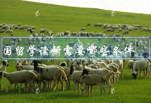 出国留学读研需要哪些条件，语言能力、学术成绩、经济能力