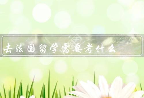 去法国留学需要考什么（语言水平考试、学术能力考试）