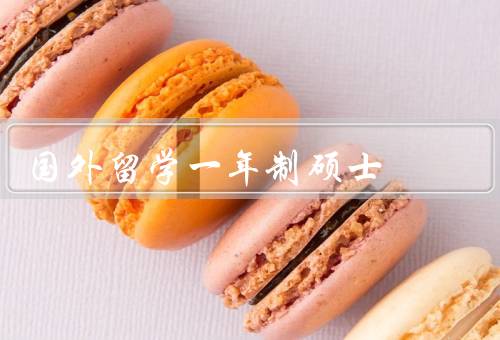 国外留学一年制硕士，环境／内容／经历