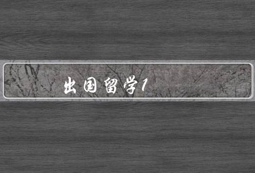 出国留学1+3，拓宽国际视野、提升语言能力、培养独立自主的能力