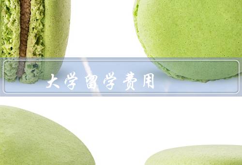华盛顿大学留学费用，留学费用构成／学费水平／生活费预估