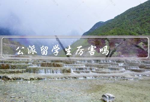 国家公派留学生厉害吗，优势、挑战、发展