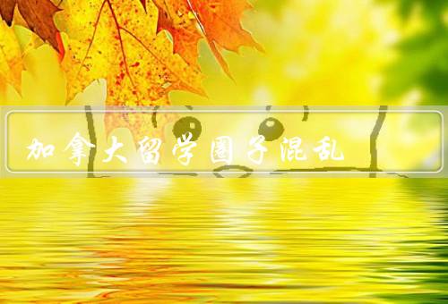 加拿大留学圈子混乱，竞争压力大／信息不对称／虚假宣传