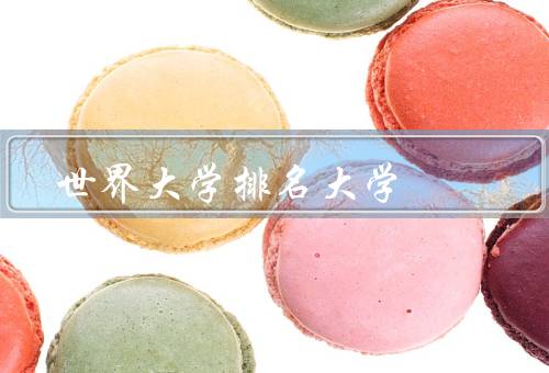 世界大学排名大学（背景、评价指标、争议）