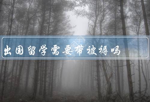 出国留学需要带被褥吗，舒适感、卫生问题、个人喜好