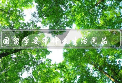 出国留学要带什么生活用品，洗漱用品／床上用品／厨房用品
