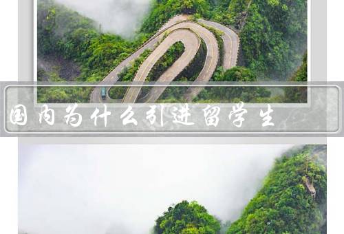 国内为什么引进垃圾留学生，培养国内人才需求