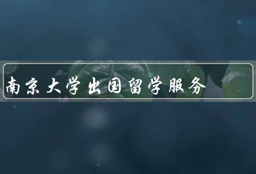 南京大学出国留学服务中心（服务内容、顾问团队、成效与影响）