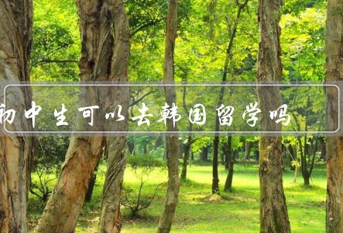 初中生可以去韩国留学吗（适应能力的考量／学习环境的考量）