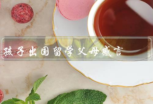 孩子出国留学父母感言，孩子成长经历的丰富／心理上的矛盾和牵挂