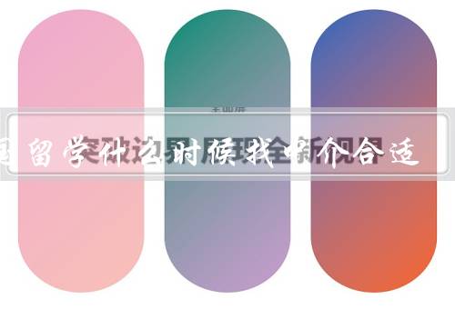 出国留学什么时候找中介合适，申请流程复杂时、专业的咨询和建议时