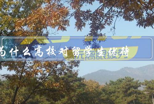 为什么高校对留学生优待，吸引国际人才、提升学校国际形象