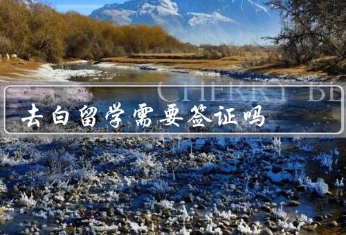 去白俄罗斯留学需要签证吗（白俄罗斯留学签证政策、签证办理流程）
