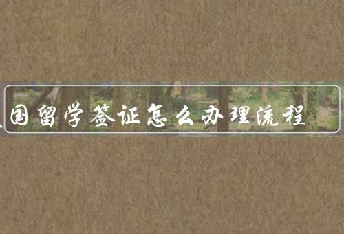 美国留学签证怎么办理流程，申请材料准备／在线预约面签