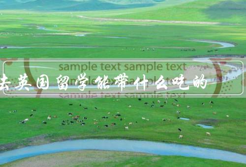 去英国留学能带什么吃的，零食／调味品／干货