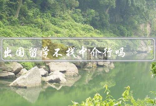 出国留学不找中介行吗，减少经济负担／提高个人能力