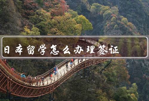 日本留学怎么办理签证，准备材料／选择签证类型／递交申请
